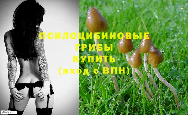 MDMA Алексеевка