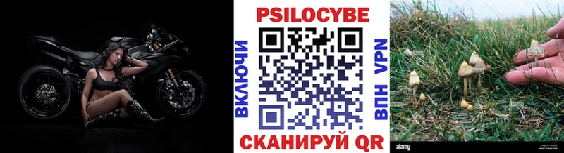 Галлюциногенные грибы Psilocybine cubensis  купить наркоту  Лянтор 